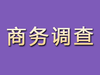 水磨沟商务调查